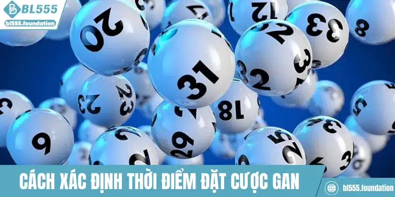 Cách xác định thời điểm đặt cược con gan