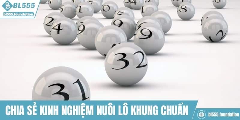 Chia sẻ kinh nghiệm nuôi lô khung chuẩn