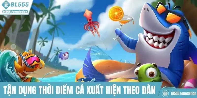 Tận dụng thời điểm cá xuất hiện theo đàn để tăng cơ hội thắng lớn