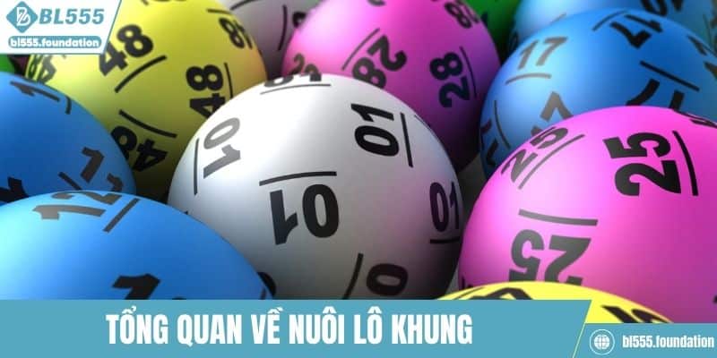Tổng quan về nuôi lô khung